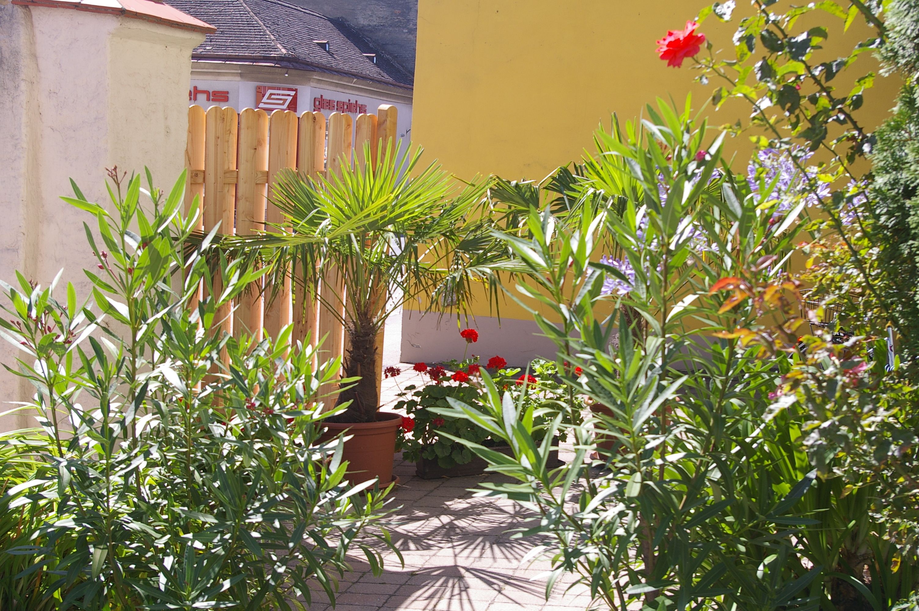 A small garden with palm trees, oleanders and colorful flowers in front of a yellow building.