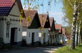 Reihe von traditionellen Weinkellern in Kammersdorf, umgeben von Bäumen und blauem Himmel.
