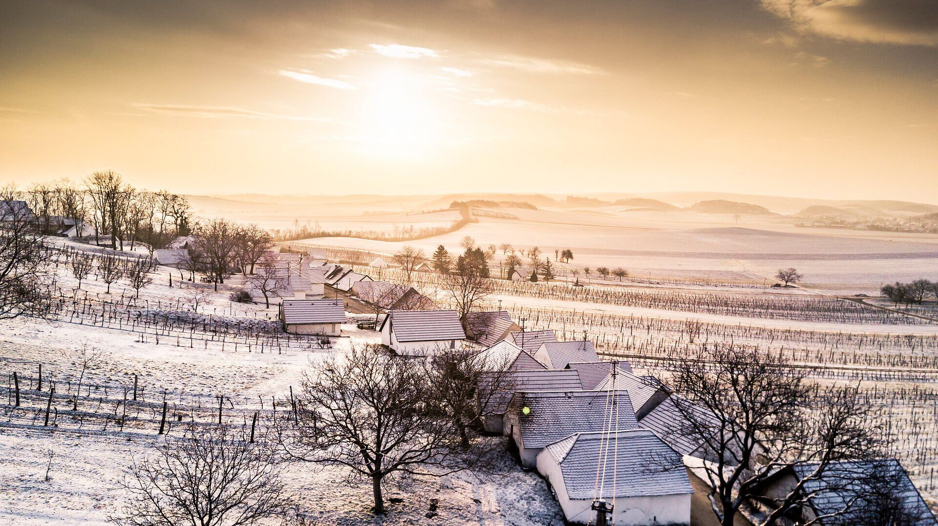 In der sanften Winterlandschaft erstrahlen die schneebedeckten Hütten im warmen Licht der tiefstehenden Sonne. Die ruhige Atmosphäre lädt zu einem Spaziergang durch die verschneiten Weinberge ein, wo die Natur in ihrer stillen Pracht erlebbar wird.