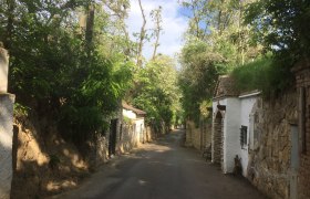 Eine schmale, von B&auml;umen ges&auml;umte Stra&szlig;e mit alten, steinernen Geb&auml;uden auf beiden Seiten.
