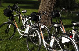 Mehrere E-Bikes stehen auf einer Wiese neben einem Baum.