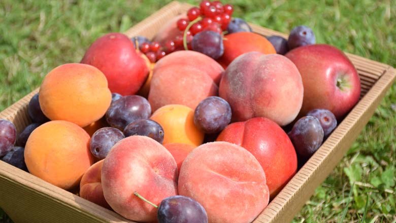 Fruit assortment, © Familie Schreiber