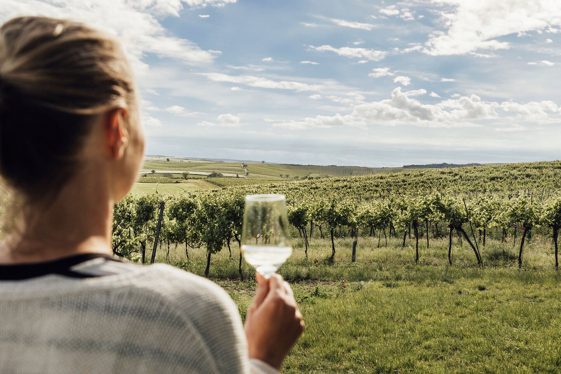 Inmitten der sanften Hügel des Weinviertels genießt man den Anblick endloser Weinreben, die im warmen Licht der Sonne erstrahlen. Ein Glas Wein in der Hand, erfüllt von der Ruhe der Natur, lädt dieser Ort dazu ein, die Seele baumeln zu lassen und die Aromen des Weins zu entdecken.
