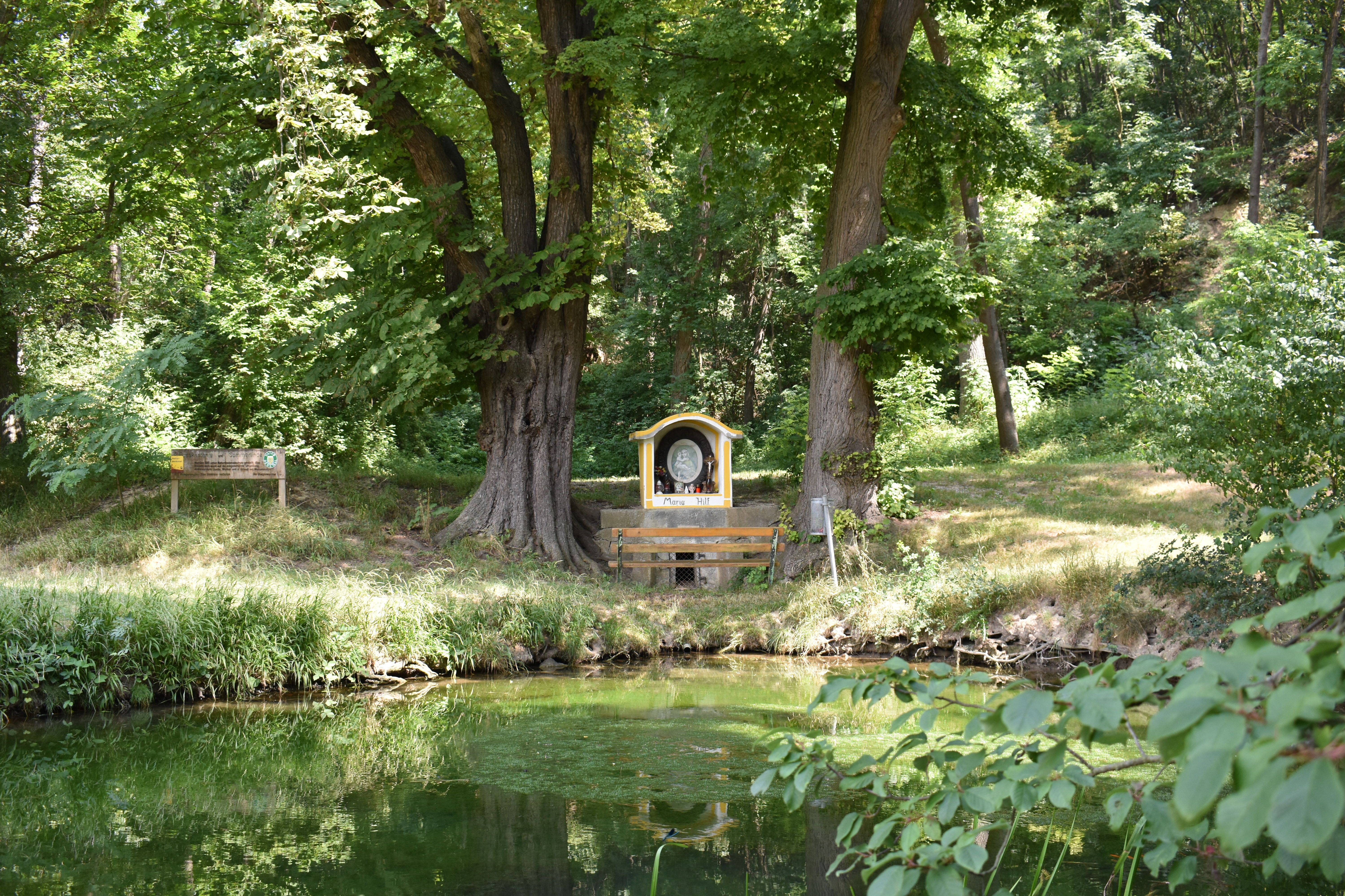 Ein idyllischer Teich mit einer kleinen Marienstatue zwischen zwei großen Bäumen im Hintergrund.