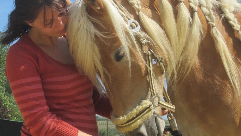 Insight into the world of horses, © Liberty Ranch