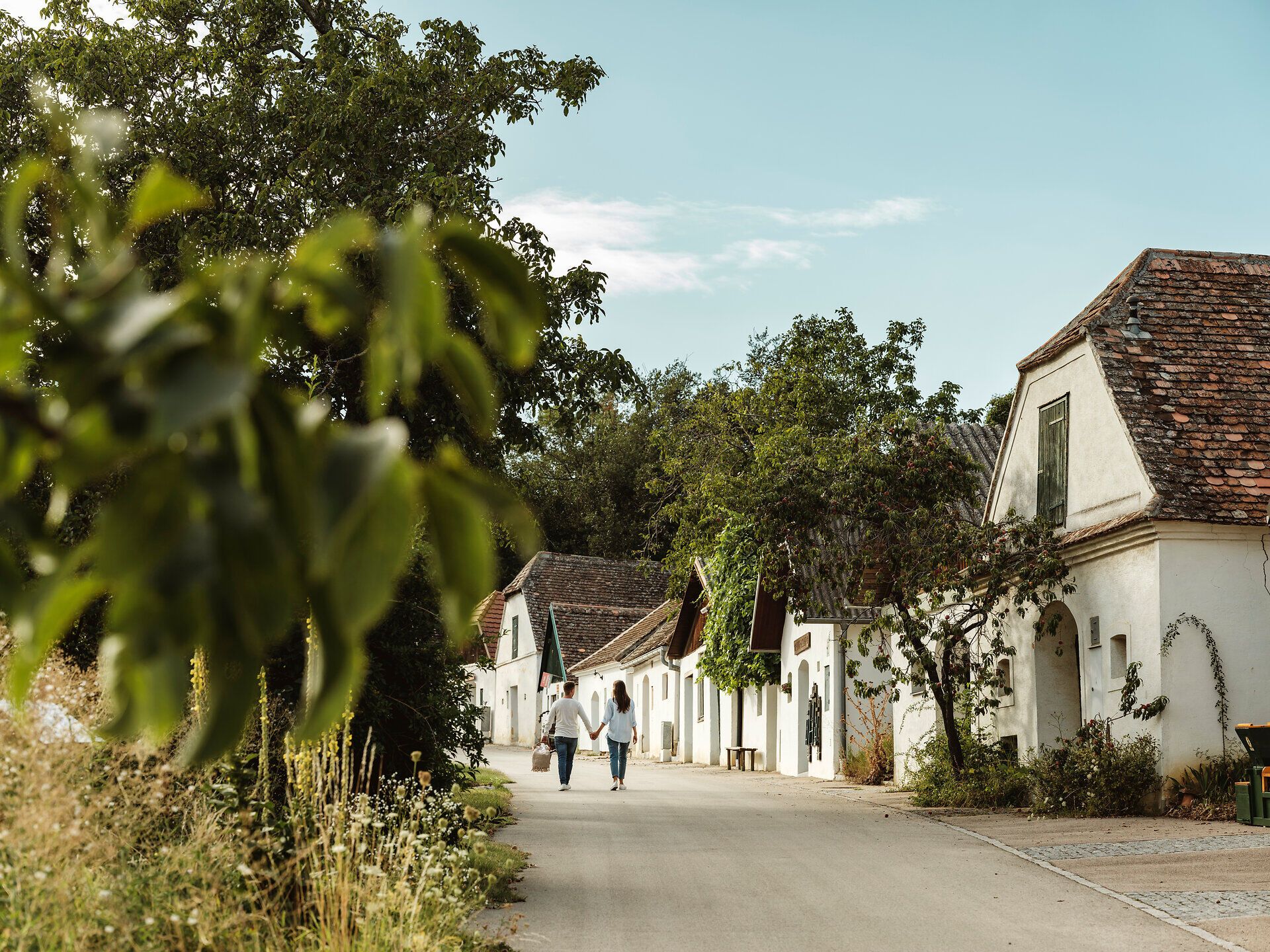 In der malerischen Kellergasse Rosenpoint laden schattenspendende Bäume und die sanfte Hügellandschaft zu einem entspannten Picknick ein. Ein liebevoll gedeckter Tisch mit regionalen Köstlichkeiten und einem Glas Wein verspricht Genuss und Geselligkeit inmitten der idyllischen Weinviertler Natur.