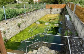 Wassertretanlage mit grünem Wasser und Metallgeländer.