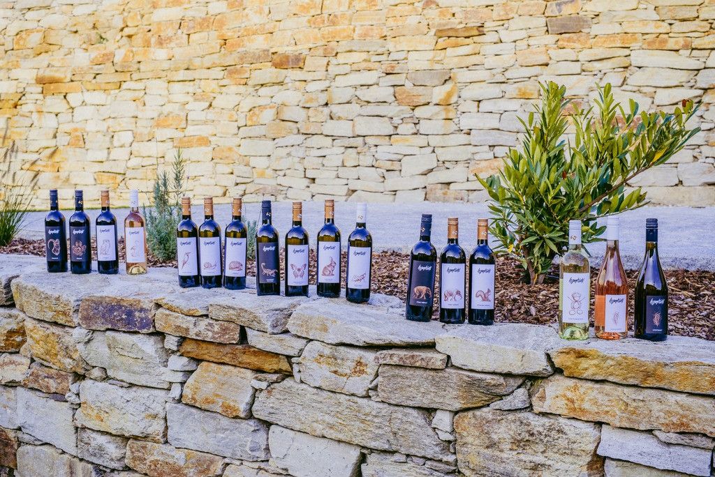 Großes Weinsortiment im Weingut Hagenbüchl