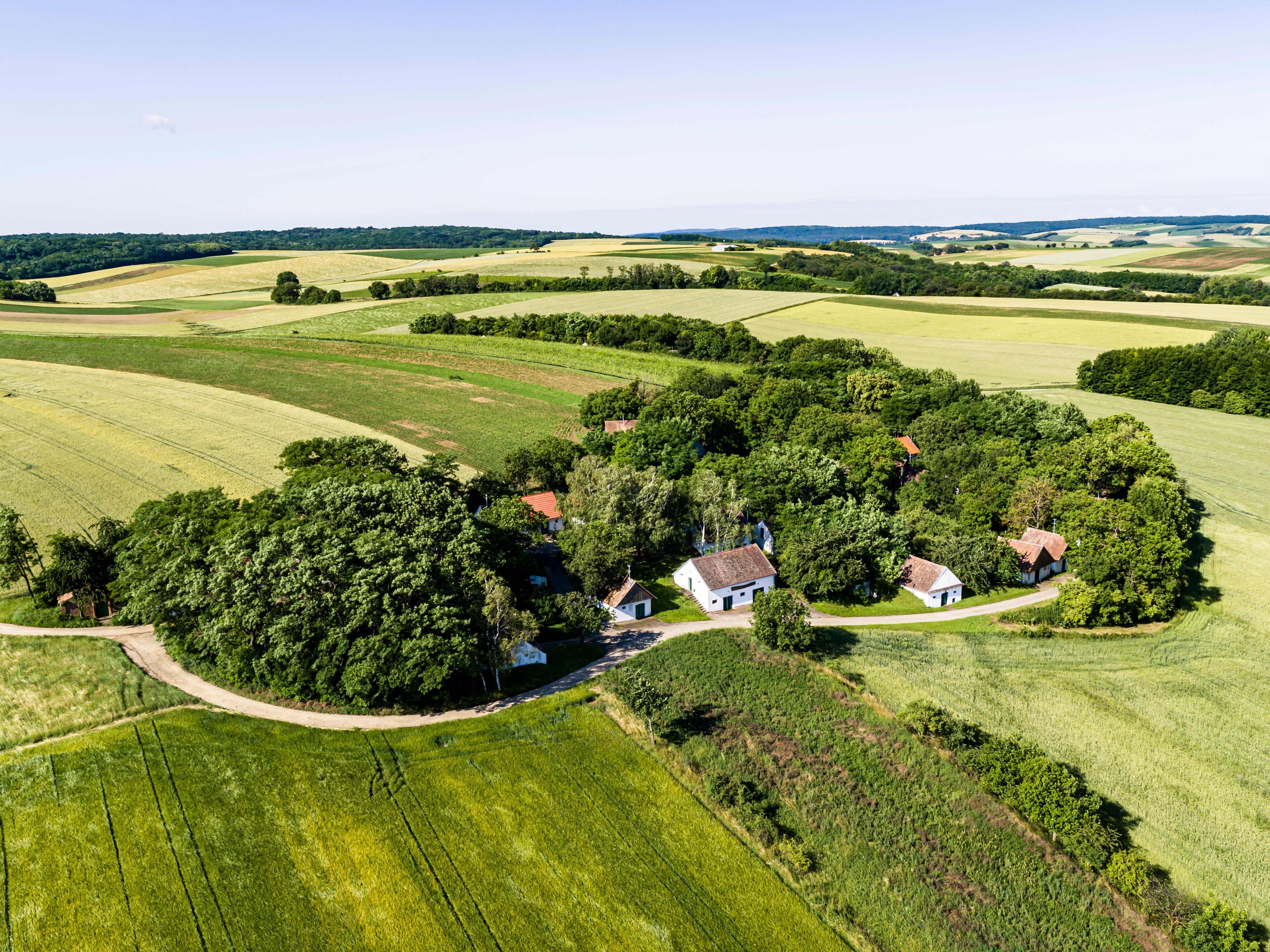 Luftaufnahme einer ländlichen Landschaft mit Feldern und kleinen Häusern.