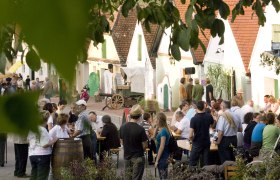 Off to the Weinviertel for the Lower Austrian wine autumn, © Weinviertel Tourismus / Lahofer