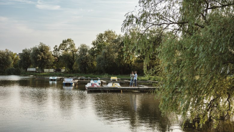 Landscape pond in Bernhardsthal, &copy; Michael Reidinger