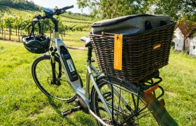 Rad mit Picknickset, © Weinviertel Tourismus / Gollner
