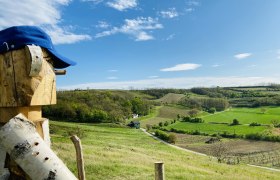 Holzfigur mit blauer Kappe blickt auf h&uuml;gelige Landschaft mit Feldern und W&auml;ldern unter blauem Himmel.