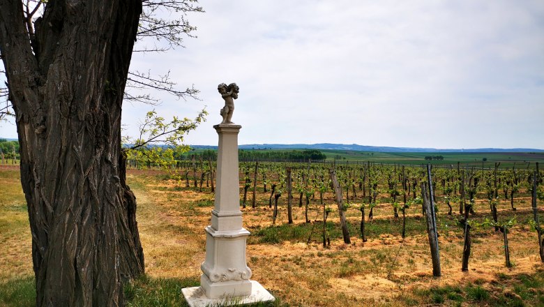 Weinberg mit Baum und Steinsäule im Vordergrund.
