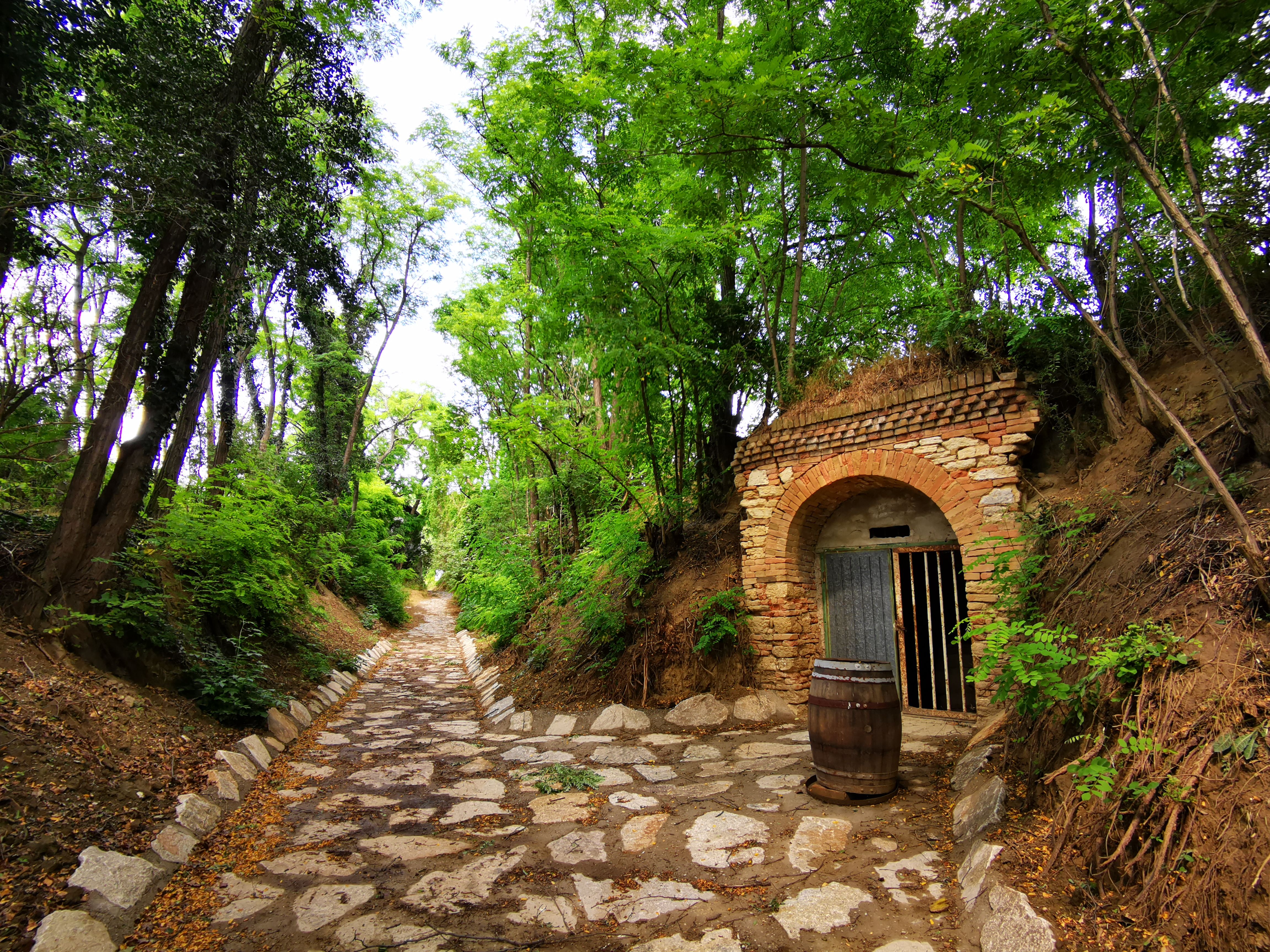 A narrow, cobbled path leads through a wooded area. On the right is an old vaulted cellar with a barrel in front of it.