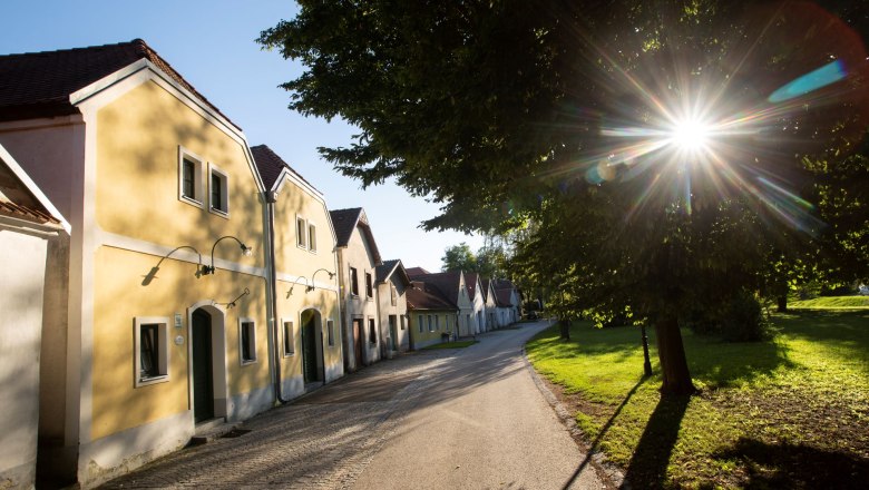 Wine cellar lane in Nappersdorf with yellow houses and sunshine through trees.