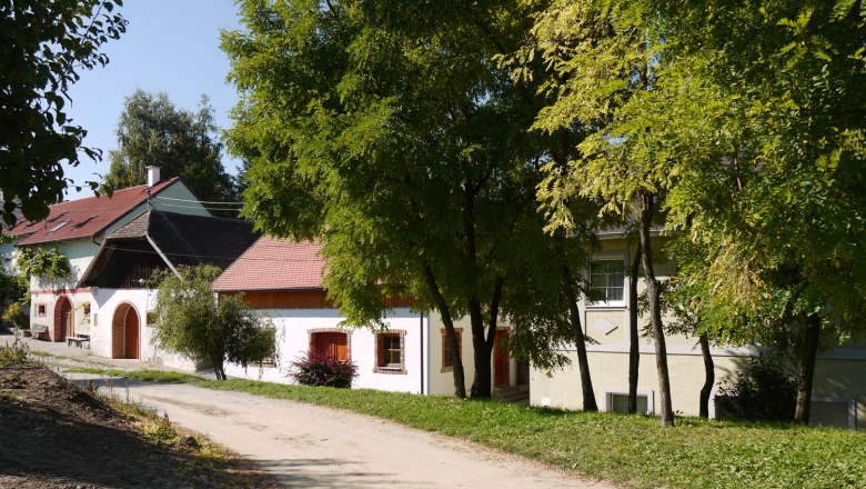 A picturesque wine cellar lane with traditional buildings and trees.
