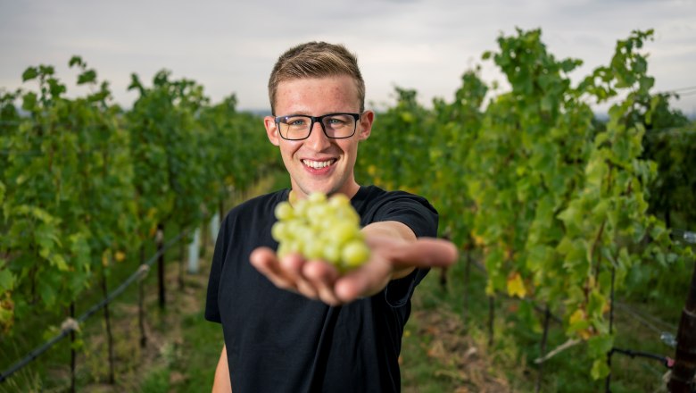 Ein Mann in einem Weinberg hält eine Traube in die Kamera.