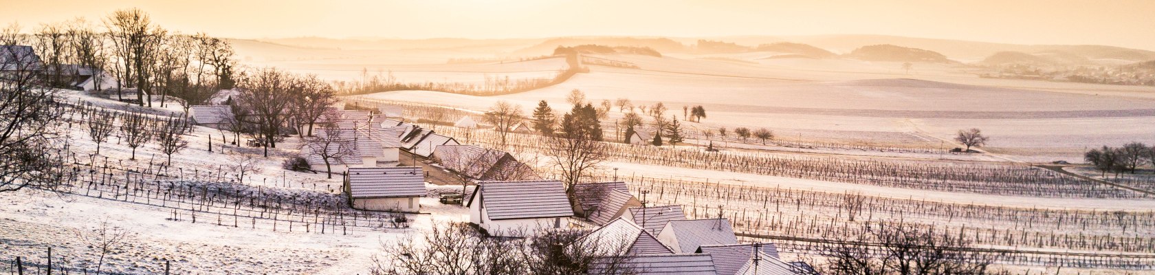 Weinviertel im Winter, © Niederösterreich Werbung / Robert Herbst