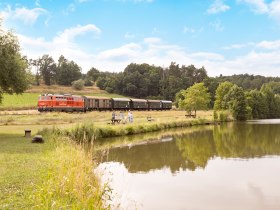 SK&ouml;n910A5627-bearb, &copy; NB, Schwarz-K&ouml;nig