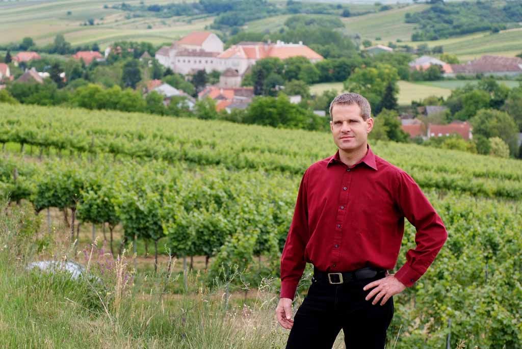 A person in a red shirt stands in front of vineyards with a village in the background.