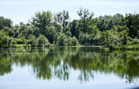 Marchfeld, &copy; Rupert Pessl