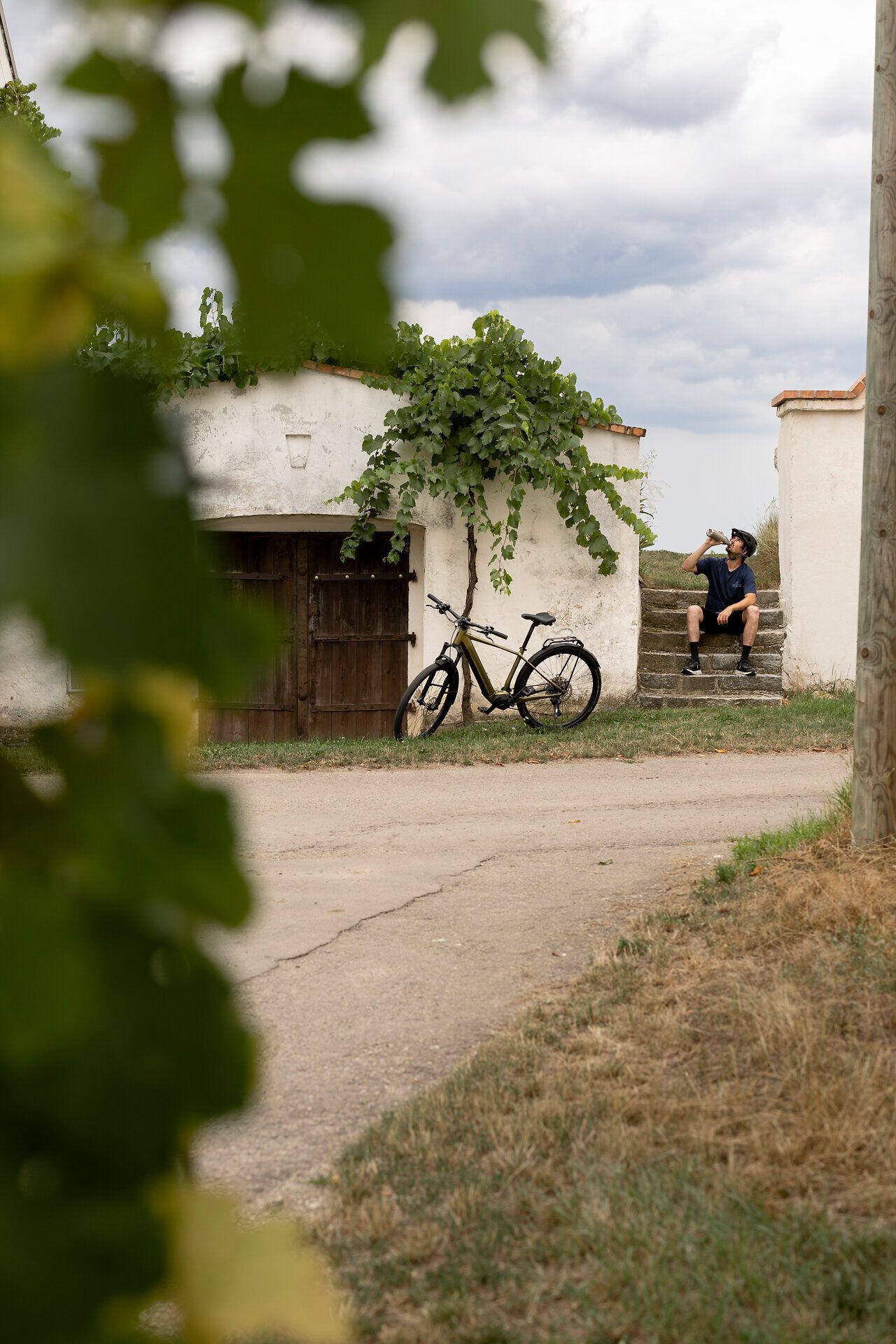 In der idyllischen Kellergasse Maulavern laden sanfte Hügel und üppige Weinreben zu einer entspannenden Radtour ein. Die ruhige Atmosphäre und die malerische Landschaft schaffen den perfekten Rahmen für unvergessliche Erlebnisse in der Natur.