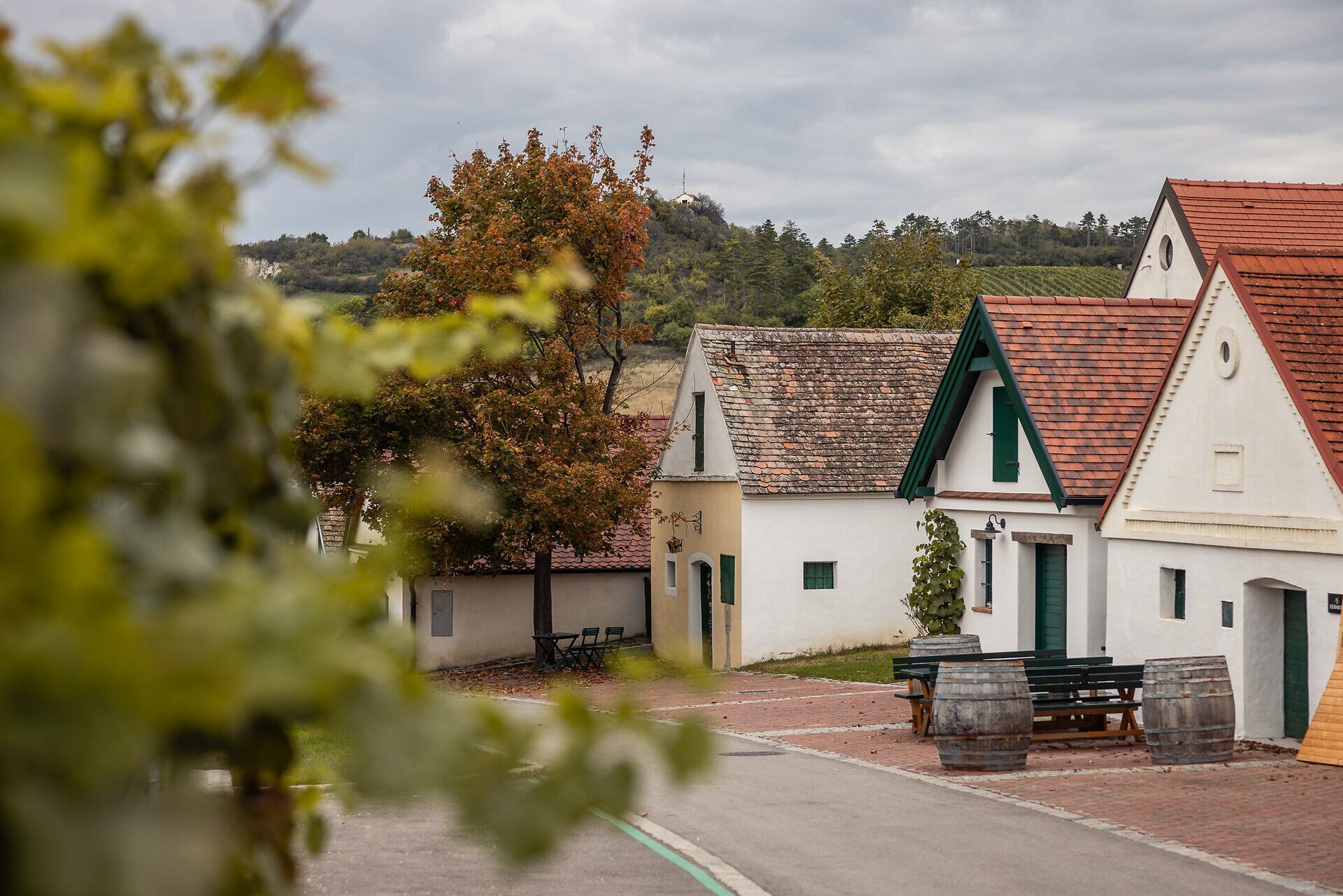 Presshäuser reihen sich in einer Kellergasse aneinander.