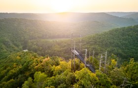 Aussichtsplattform im Wald mit Sonnenuntergang im Hintergrund.