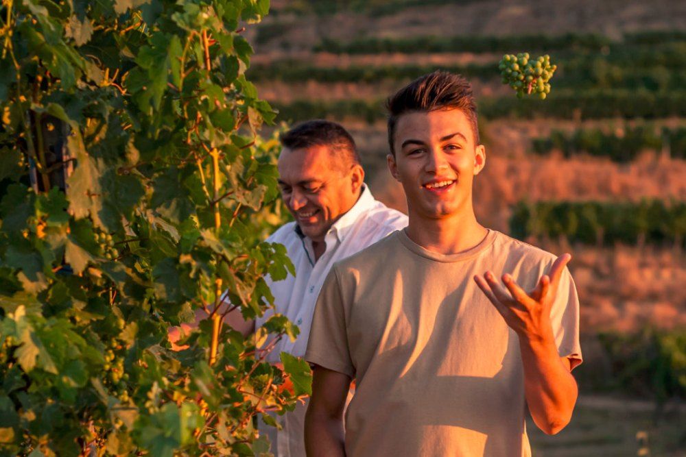 Zwei Männer in einem Weinberg, einer jongliert mit Trauben.