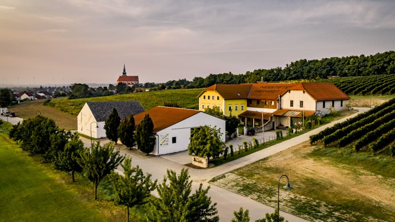 Luftaufnahme eines Weinguts mit Geb&auml;uden und Weinbergen bei Sonnenuntergang.