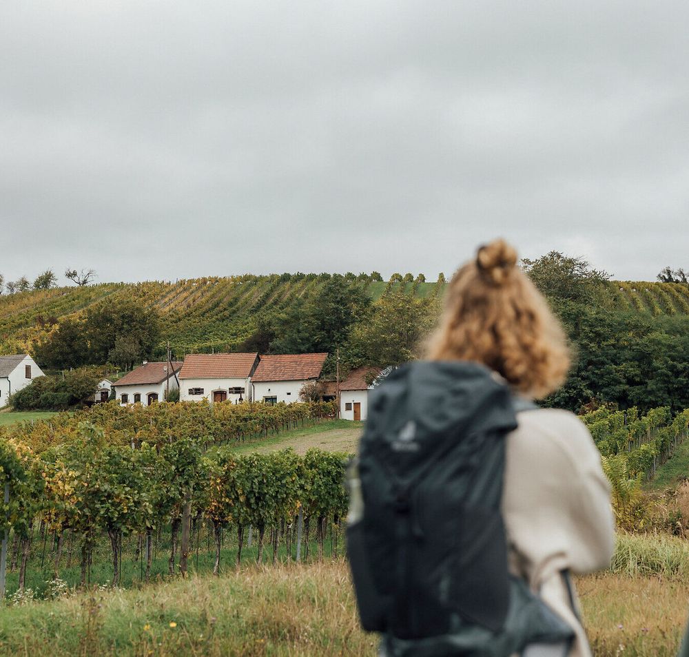Sanfte Hügel und üppige Weingärten laden zu einem unvergesslichen Weinwandern ein. Die frische Luft und die malerische Landschaft schaffen eine perfekte Kulisse für entspannte Stunden in der Natur. Genießen Sie die Aussicht auf die idyllischen Kellergassen und die charmanten Weinhäuser.