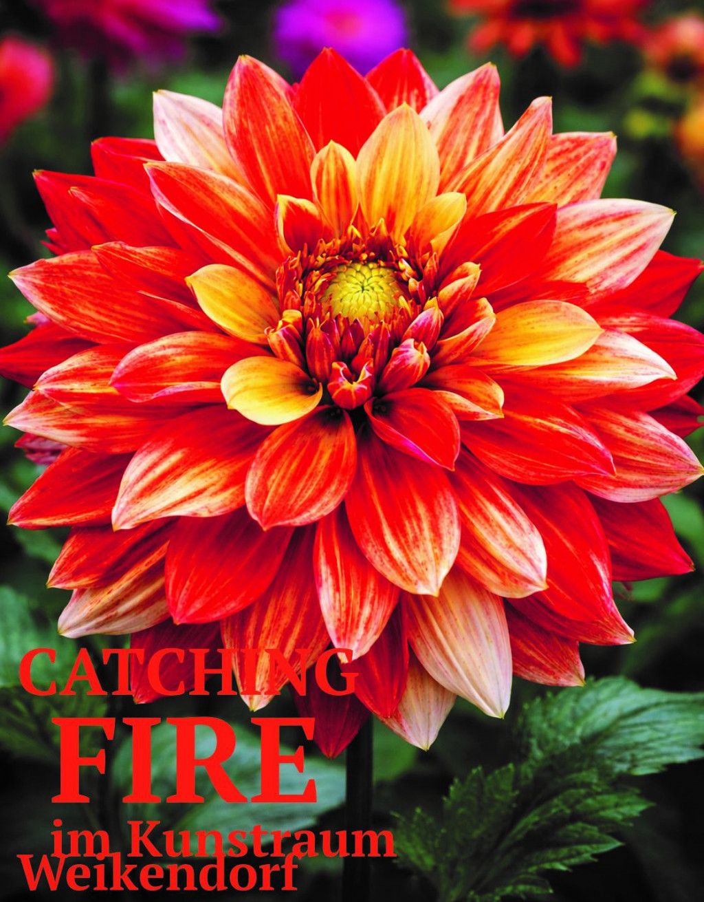 CATCHING FIRE