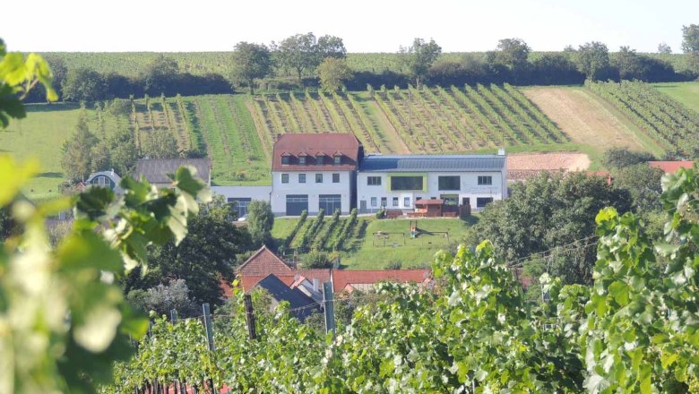Weingut mit Heurigenlokal inmitten von Weinbergen.