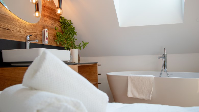 Modern bathroom with bathtub, washbasin, plants and skylight.