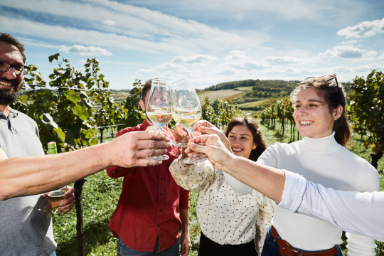 Rahmenprogramm 5: Riedenwanderung &amp; Weinverkostung, © Weinviertel Tourismus / Michael Liebert