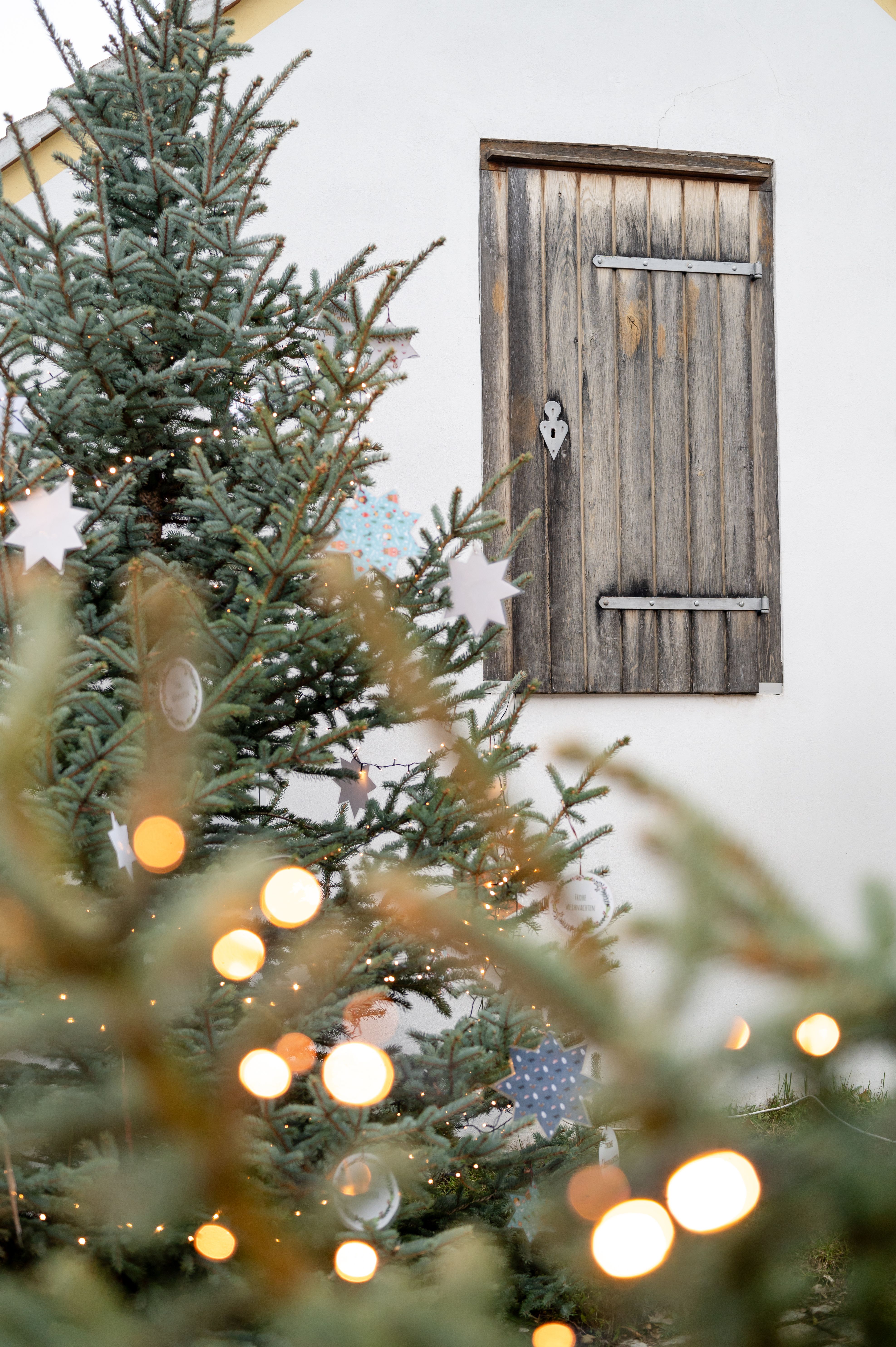 In der festlich geschmückten Kellergasse Unterstinkenbrunn erstrahlen die Lichter der Weihnachtszeit und verleihen der Umgebung eine zauberhafte Atmosphäre. Die Tannenbäume, geschmückt mit funkelnden Lichtern, laden dazu ein, die besinnliche Zeit des Advents in vollen Zügen zu genießen.