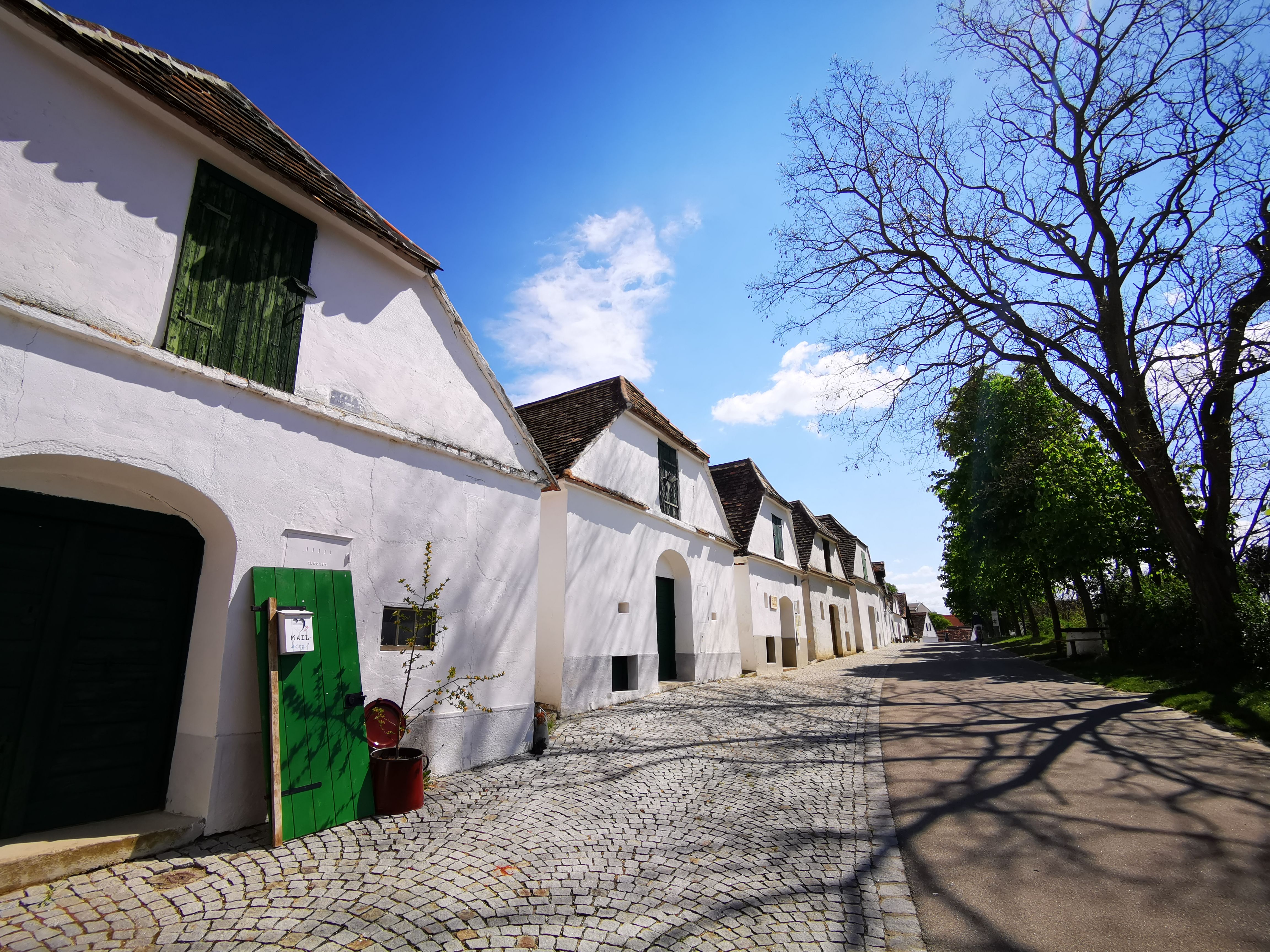 Kellergasse in Mailberg mit weißen Gebäuden und blauem Himmel.