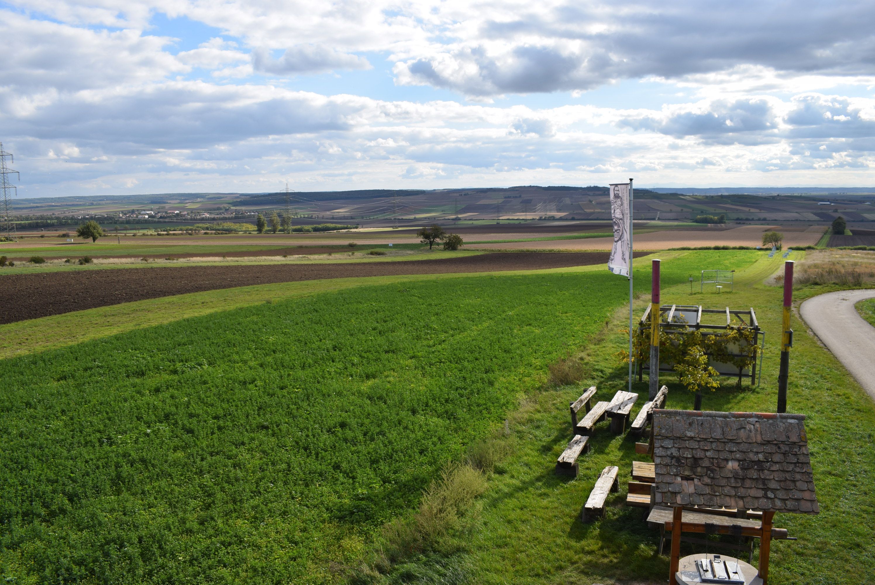 Blick auf das Areal der Fundstelle
