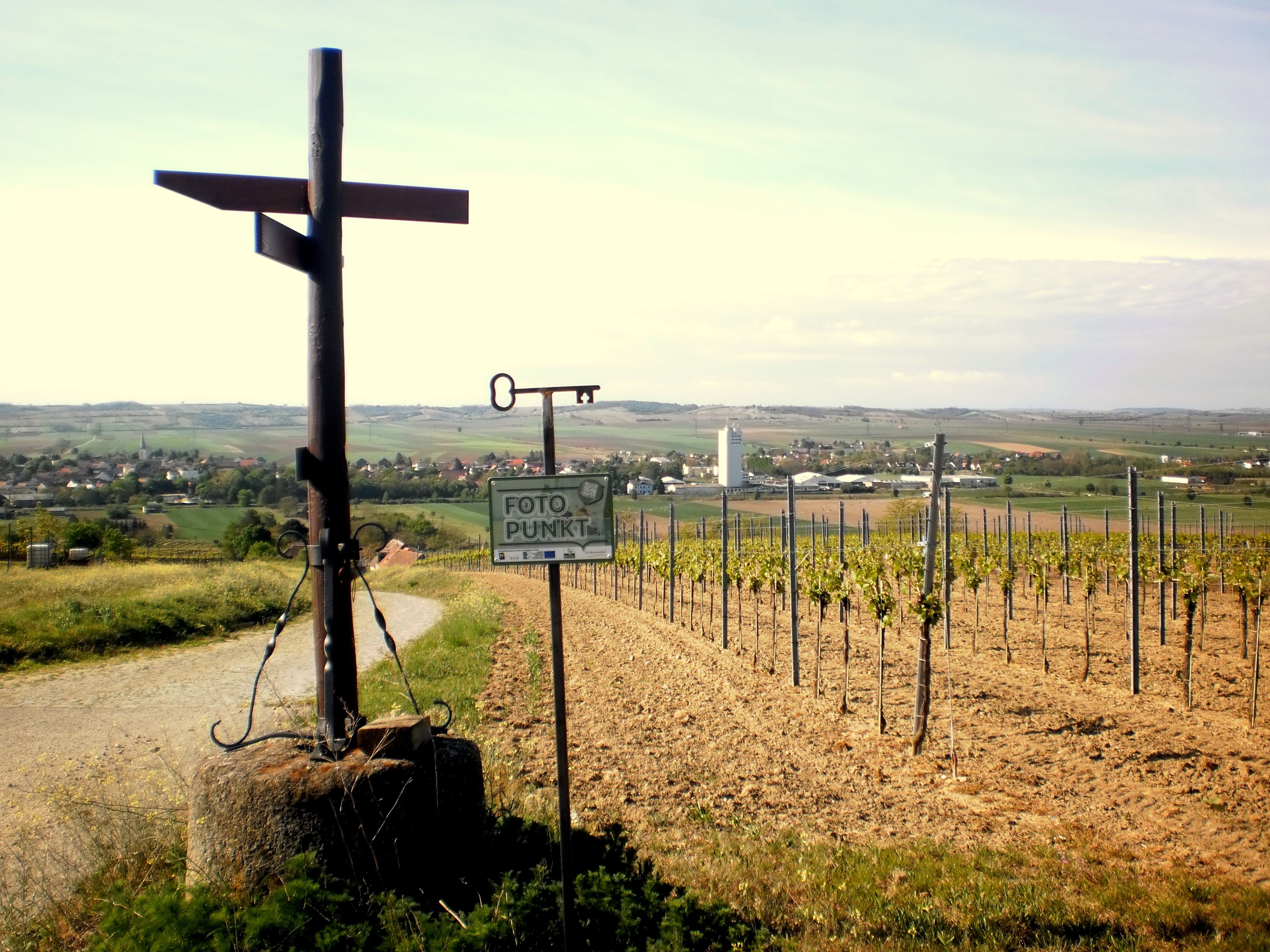 View of Haugsdorf with vineyards and a photo point sign in the foreground.