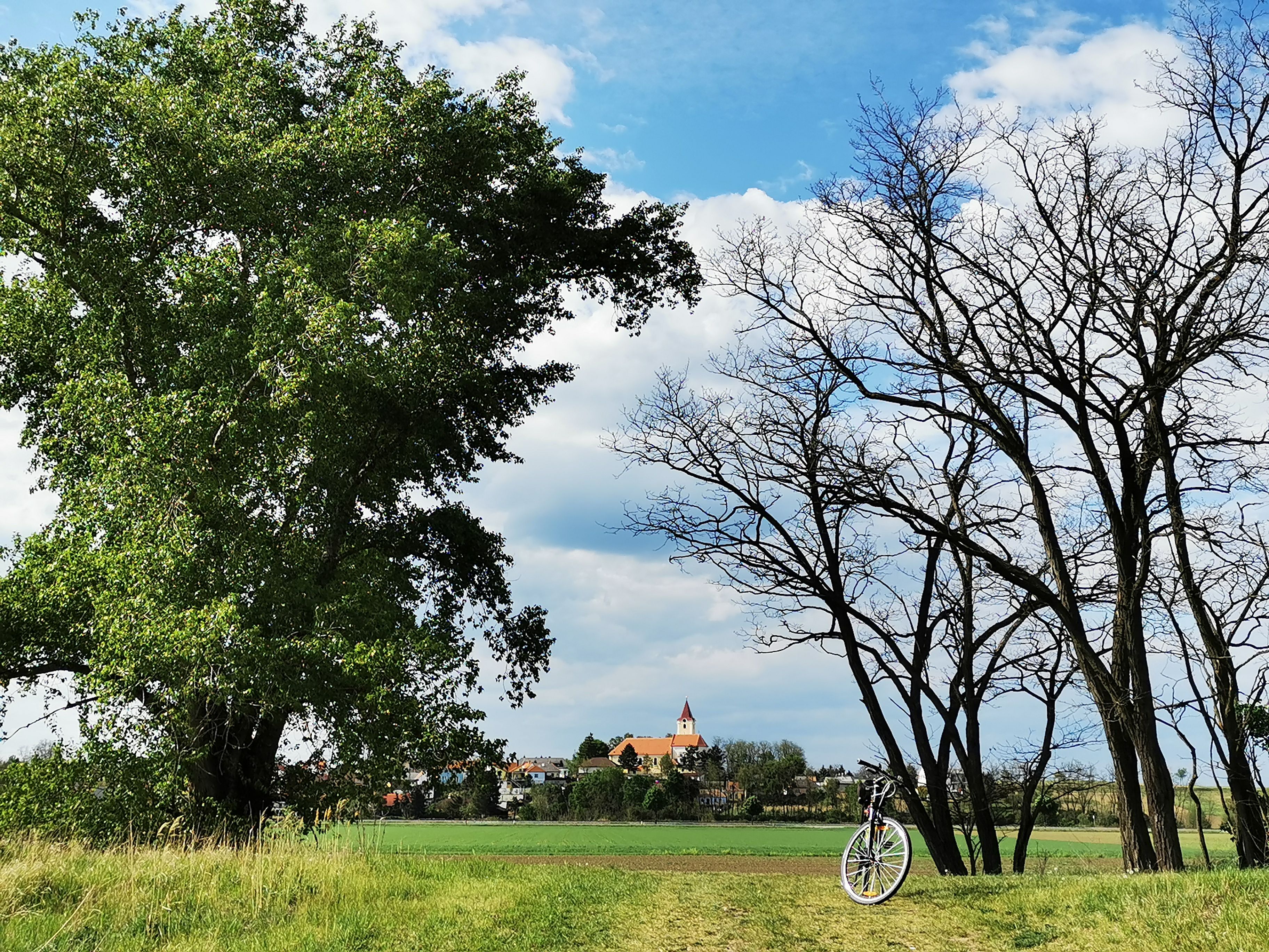 Landschaft mit Bäumen, einem Fahrrad und einem Dorf im Hintergrund.