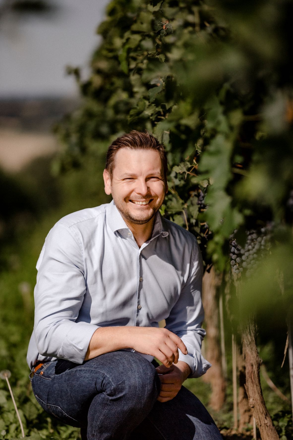 Ein Mann in einem Weinberg, lächelnd und in die Hocke gehend, trägt ein helles Hemd und Jeans.