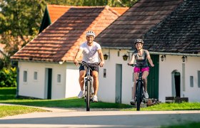 Radfahren ausgehend von der Weinstadt Poysdorf, © Weinviertel Tourismus / www.pov.at