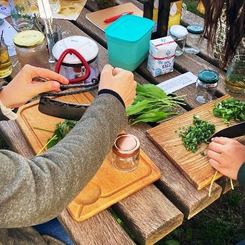 Wildkräuterpesto und Wildkräutersalz wird hergestellt