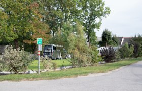 Campingplatz mit Wohnmobil und Bäumen im Hintergrund.