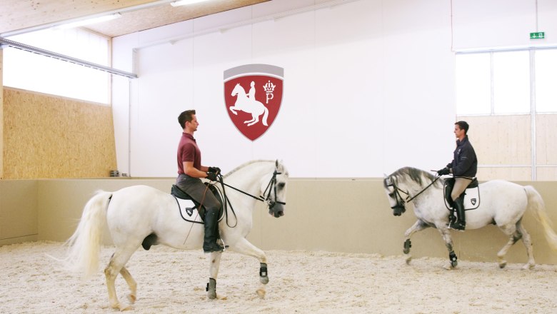 Zwei Reiter auf Lipizzanern in einer Reithalle mit einem Wappen an der Wand.