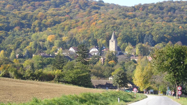 Landschaft mit Wehrkirche Michelstetten im Hintergrund.