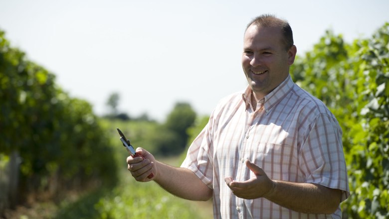 A man in a checked shirt stands smiling in a vineyard holding a pair of pruning shears.