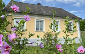 Ein gelbes Haus mit weißen Fensterrahmen, umgeben von blühenden rosa Blumen im Vordergrund.